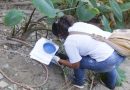 Timóteo promove capacitação multissetorial para fortalecer enfrentamento às arboviroses diante dos impactos climáticos 