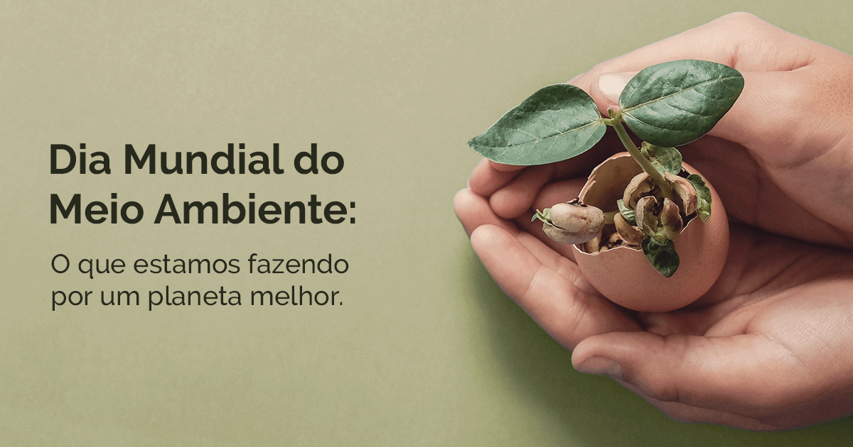 Dia Mundial do Meio Ambiente 2021: a necessidade e a urgência da