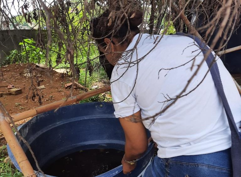 Medidas intensivas contra arbovirus en Ipatinga – Revista PyrosNet