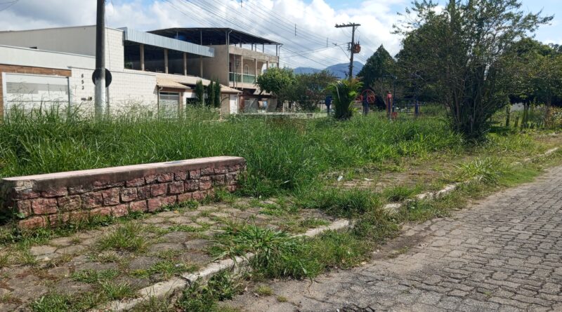 Mato alto, lixo, animais peçonhentos e aparelhos quebrados afastam frequentadores das Praças no Primavera