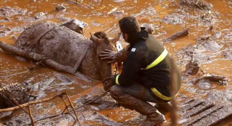 Ação na Holanda abre novos cadastros para indenização pelo desastre de Mariana