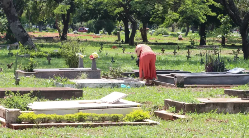Taxa de homicídio cai, mas violência matou 45,7 mil no Brasil em 2023