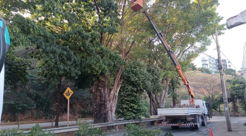 Prefeitura realiza supressão de árvore na Avenida Gerasa por risco à estrutura de galeria pluvial