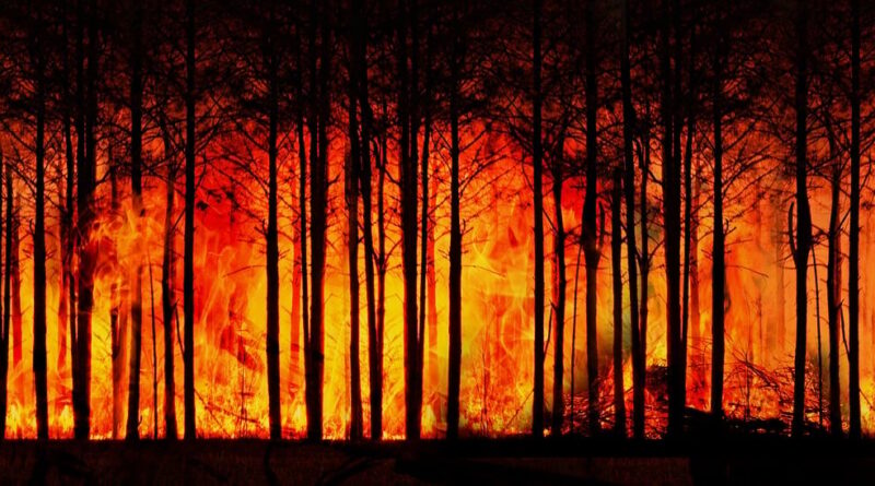 Semad divulga municípios selecionados para programa de combate às mudanças climáticas