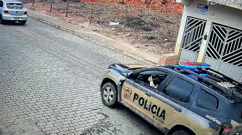 No Leste de Minas, ‘Vovó do Tráfico’ de 74 anos, com tornozeleira eletrônica, é presa pela PC
