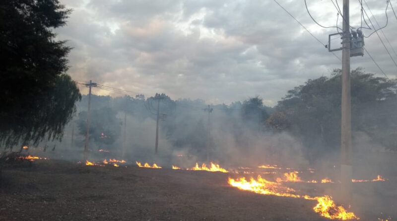 Cemig registra quase 2 mil alertas de incêndio próximos à rede elétrica no 1º semestre de 2025