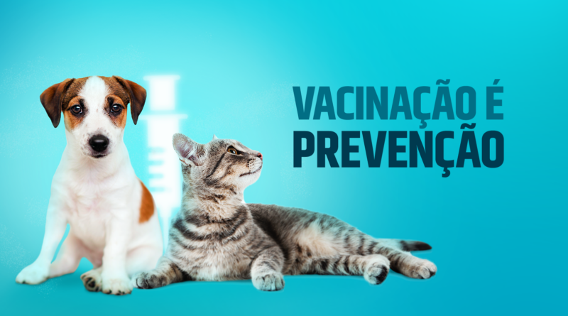 QUEM NÃO TEM CÃO, VACINA GATO. Timóteo inicia Campanha de Vacinação Antirrábica