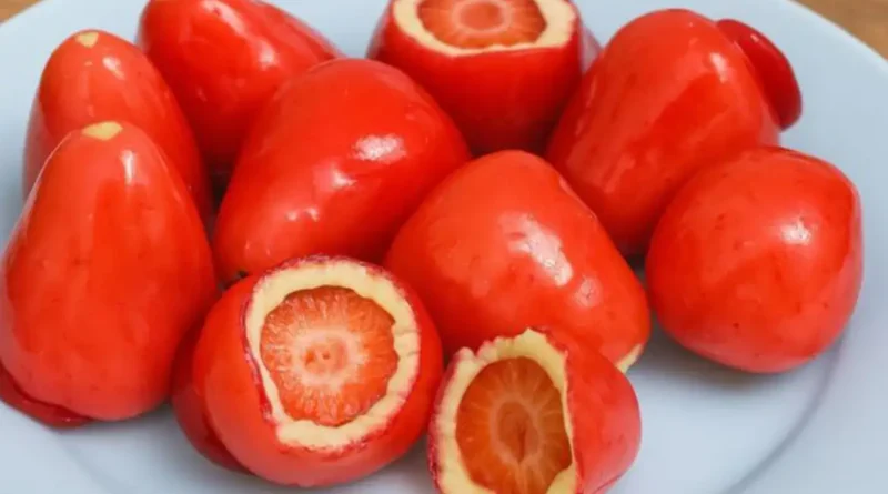 Conselho Federal de Odontologia alerta sobre riscos do morango do amor