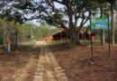 IEF-MG torna pública a abertura do Edital do Procedimento Público de Declaração de Interesse