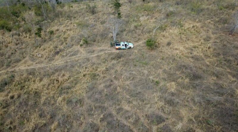 Oitava edição da Operação Nacional Mata Atlântica em Pé é iniciada em 17 estados