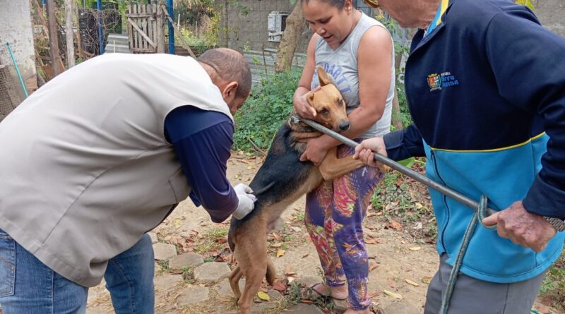 DIAS “D” DA VACINAÇÃO: Quem não tem cão, vacina gato. Timóteo intensifica campanha antirrábica