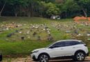 Prefeitura de Ipatinga prorroga prazo de chamamento público para concessão de sepulturas perpétuas no Cemitério Senhora da Paz