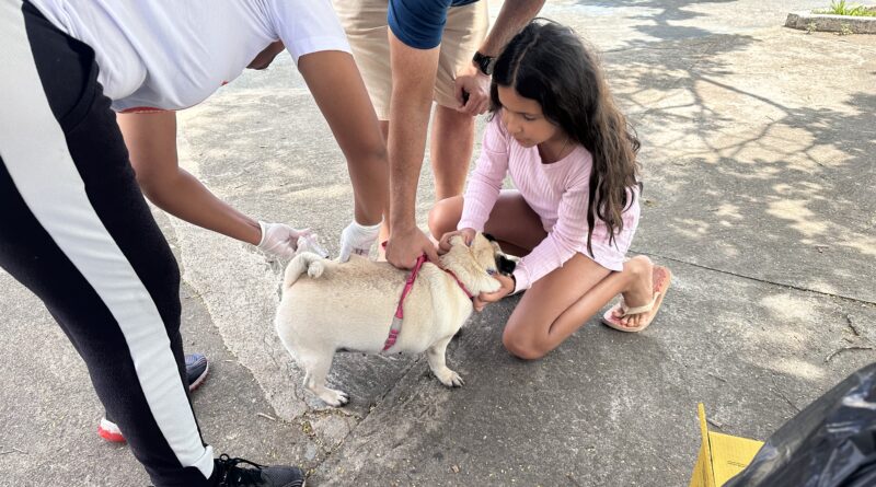 Vacinação antirrábica em Timóteo segue até o dia 11 de outubro