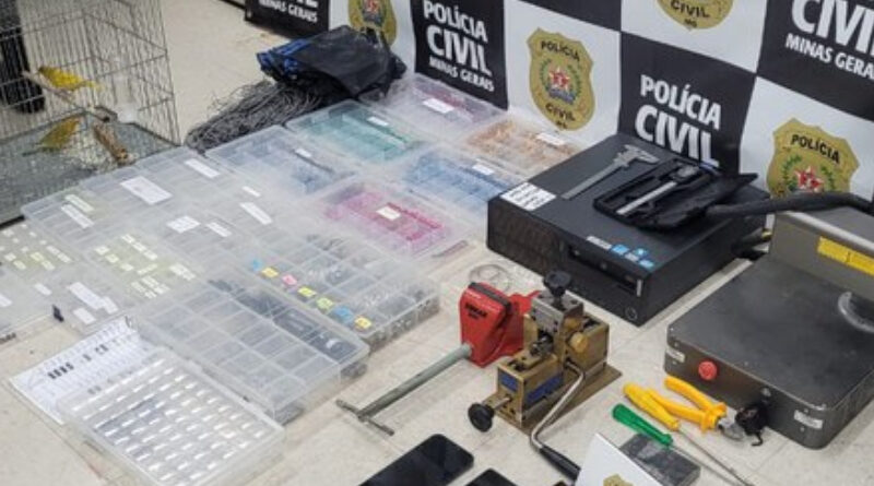 Ação mira esquema de falsificação de anilhas usadas em aves silvestres