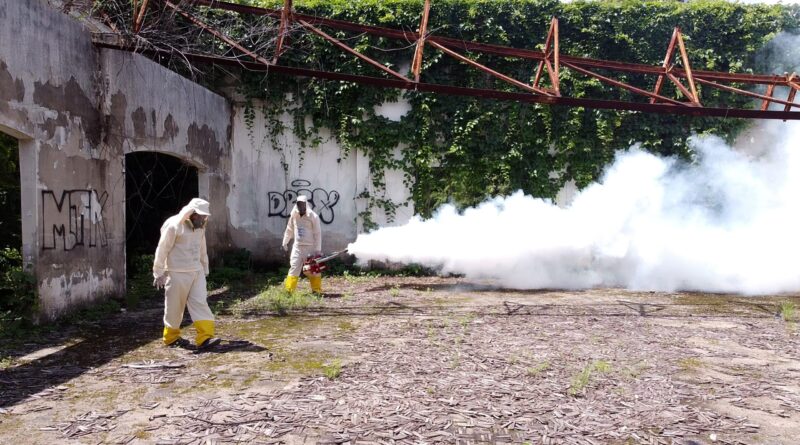 Saúde promove Dia D de combate ao Aedes aegypti em todo o estado