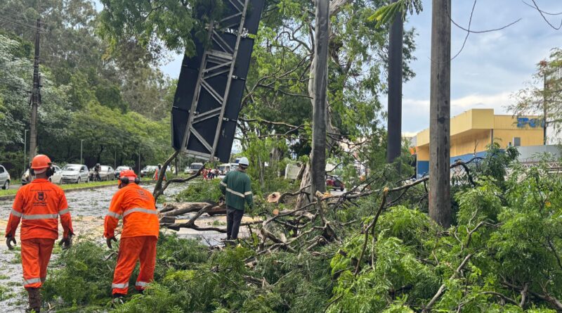 Equipes da Prefeitura de Ipatinga atuam nos pontos afetados após chuva forte
