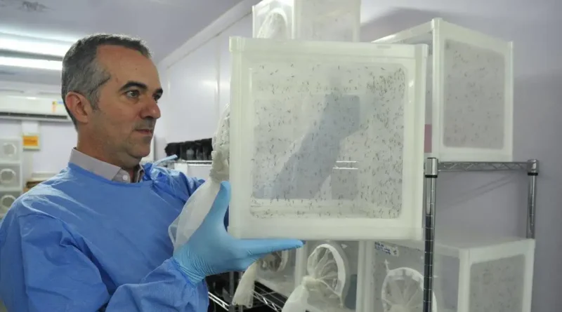 Brasileiro criador do “Aedes” que bloqueia dengue é eleito pela Nature