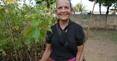 Belo Oriente lança programa “Plantar Juntos!” e doa mudas nativas à população