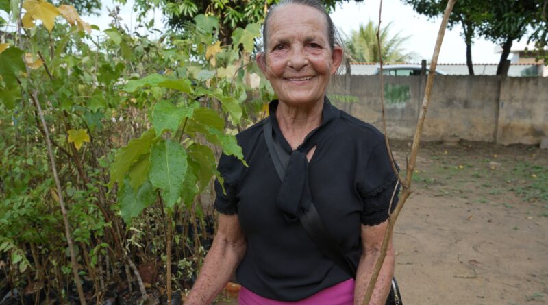 Belo Oriente lança programa “Plantar Juntos!” e doa mudas nativas à população