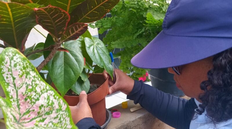 Prefeitura de Ipatinga inicia primeiro LIRAa de 2026