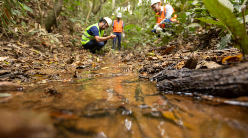 Samarco prevê conclusão de etapas do Novo Acordo do Rio Doce em 2026