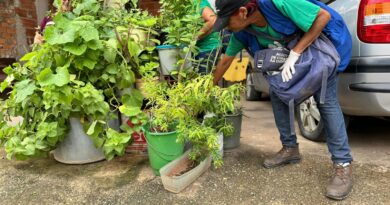 Ipatinga promove “Dia D”, Minas Unida contra o Aedes neste sábado