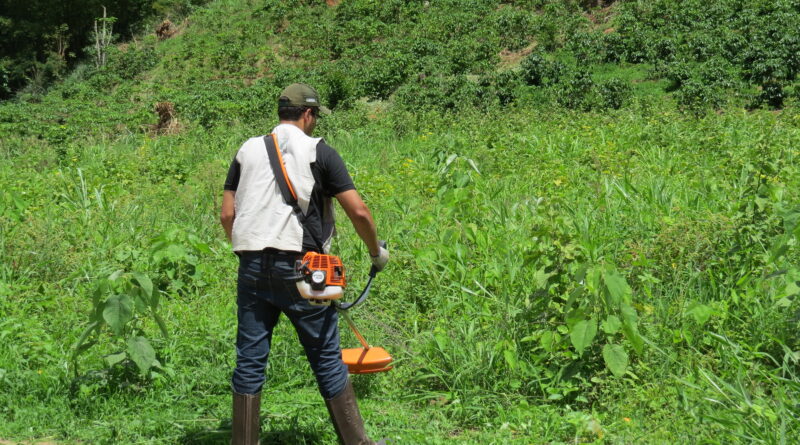 Sistema Faemg Senar oferece 30 cursos gratuitos a partir desta segunda (02/02)