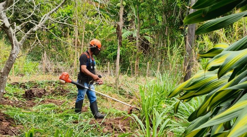 Curso em Timóteo capacita trabalhadores para manutenção de roçadeiras