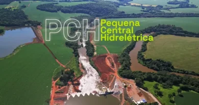A pedido do MPMG, Justiça suspende licença de hidrelétrica no Rio Santo Antônio para proteger espécies ameaçadas