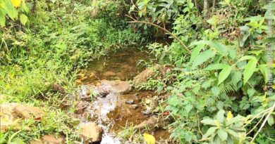 Timóteo lança Programa Cuidadores de Nascentes na Semana da Água