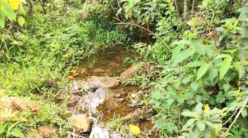 Timóteo lança Programa Cuidadores de Nascentes na Semana da Água