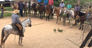 Vale do Aço recebe cursos gratuitos do Sistema Faemg Senar