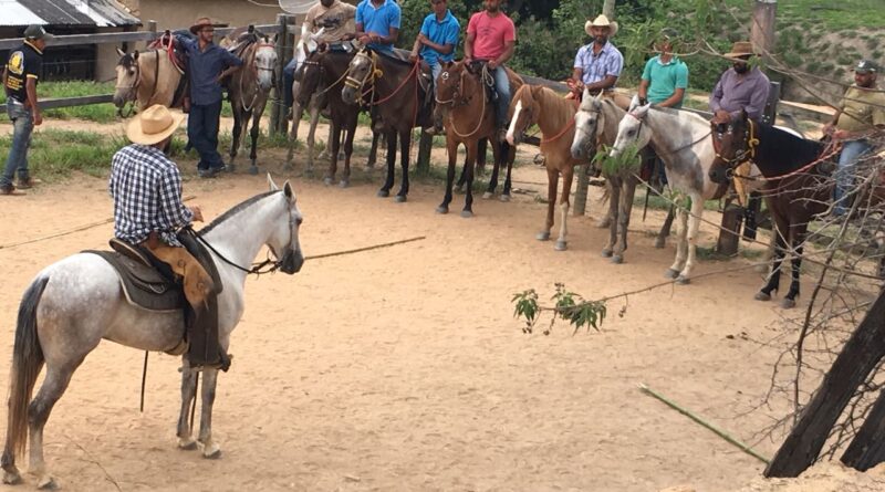 Vale do Aço recebe cursos gratuitos do Sistema Faemg Senar