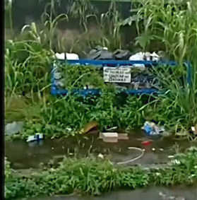 Moradores denunciam descaso, lixão e mato alto em ruas do bairro Vila dos Técnicos, em Timóteo
