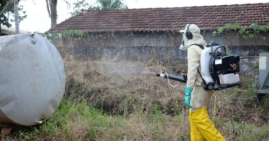 Prefeitura esclarece protocolos para uso de inseticida e reforça combate aos criadouros de mosquitos