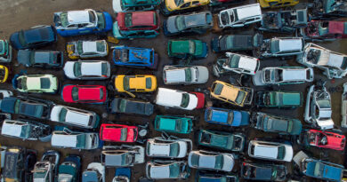 TJMG e Governo de Minas realizam 1º leilão de veículos