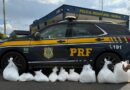 PRF apreende carga de cocaína avaliada em R$ 5 milhões após acidente de carro em Minas