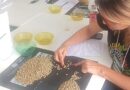 Sindicato dos Produtores Rurais de Caratinga lança 1º Cupping de Cafés Especiais
