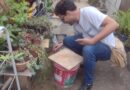 Segundo LIRAa de Timóteo aponta médio risco e exige atenção redobrada