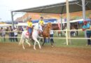 6ª Exposição Mangalarga Marchador movimenta o Vale do Aço com 200 cavalos