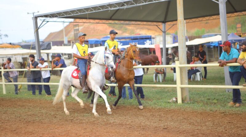 6ª Exposição Mangalarga Marchador movimenta o Vale do Aço com 200 cavalos