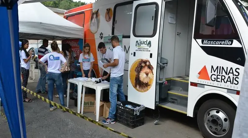 QUEM NÃO TEM CÃO, CASTRA GATO: Castramóvel realiza mutirão em Timóteo e reforça ações de bem-estar animal