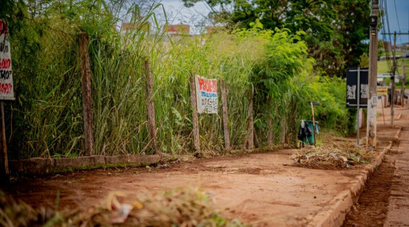Timóteo intensifica fiscalização de lotes sujos para conter avanço da dengue e outras arboviroses
