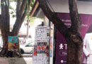 Árvores com sinais de infestação preocupam comerciantes e frequentadores na Praça 1º de Maio Árvores com sinais de infestação preocupam comerciantes e frequentadores na Praça 1º de Maio