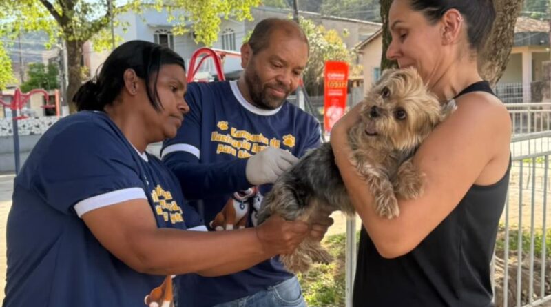 Em Timóteo, quem não tem cão ainda pode vacinar o gato: campanha de vacinação é prorrogada até 10 de outubro