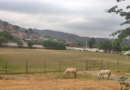 Prefeitura de Timóteo autoriza Associação de Futebol do Macuco a utilizar campo do bairro por cinco anos